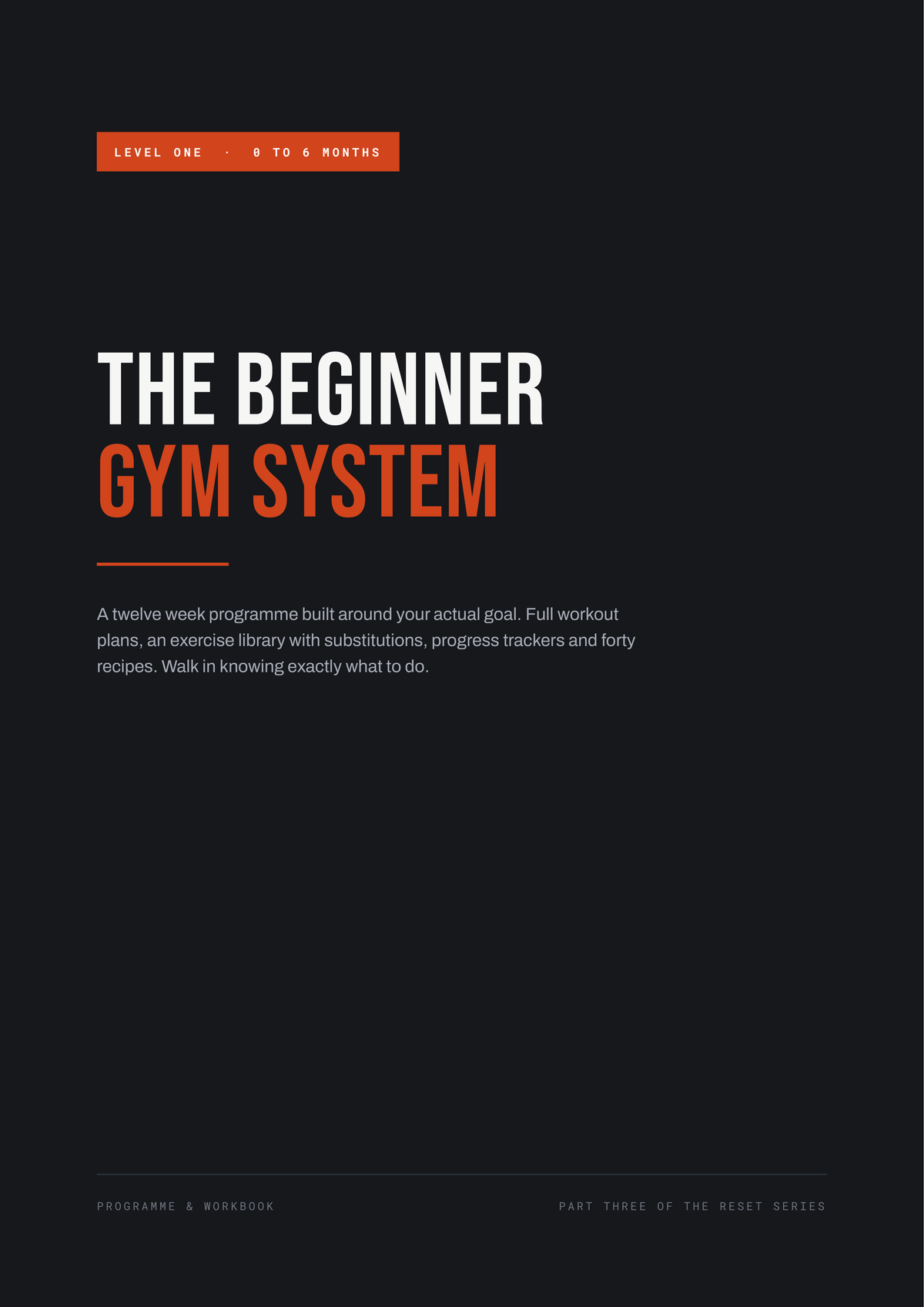 Beginner Gym System